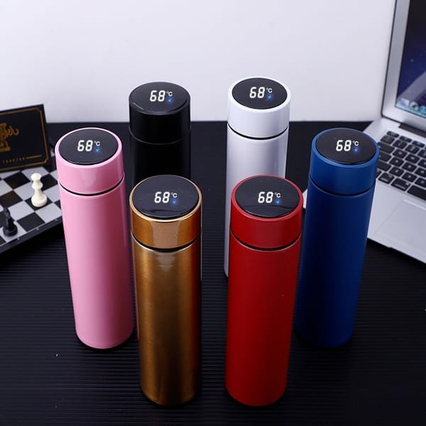 Temperature Water Bottle 500ML
